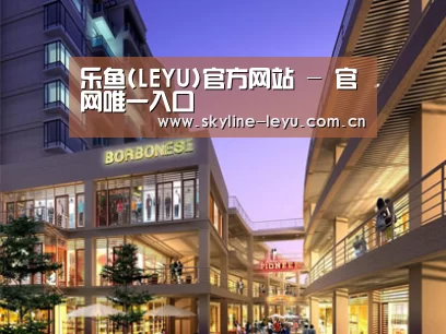 案例展示一(图1)