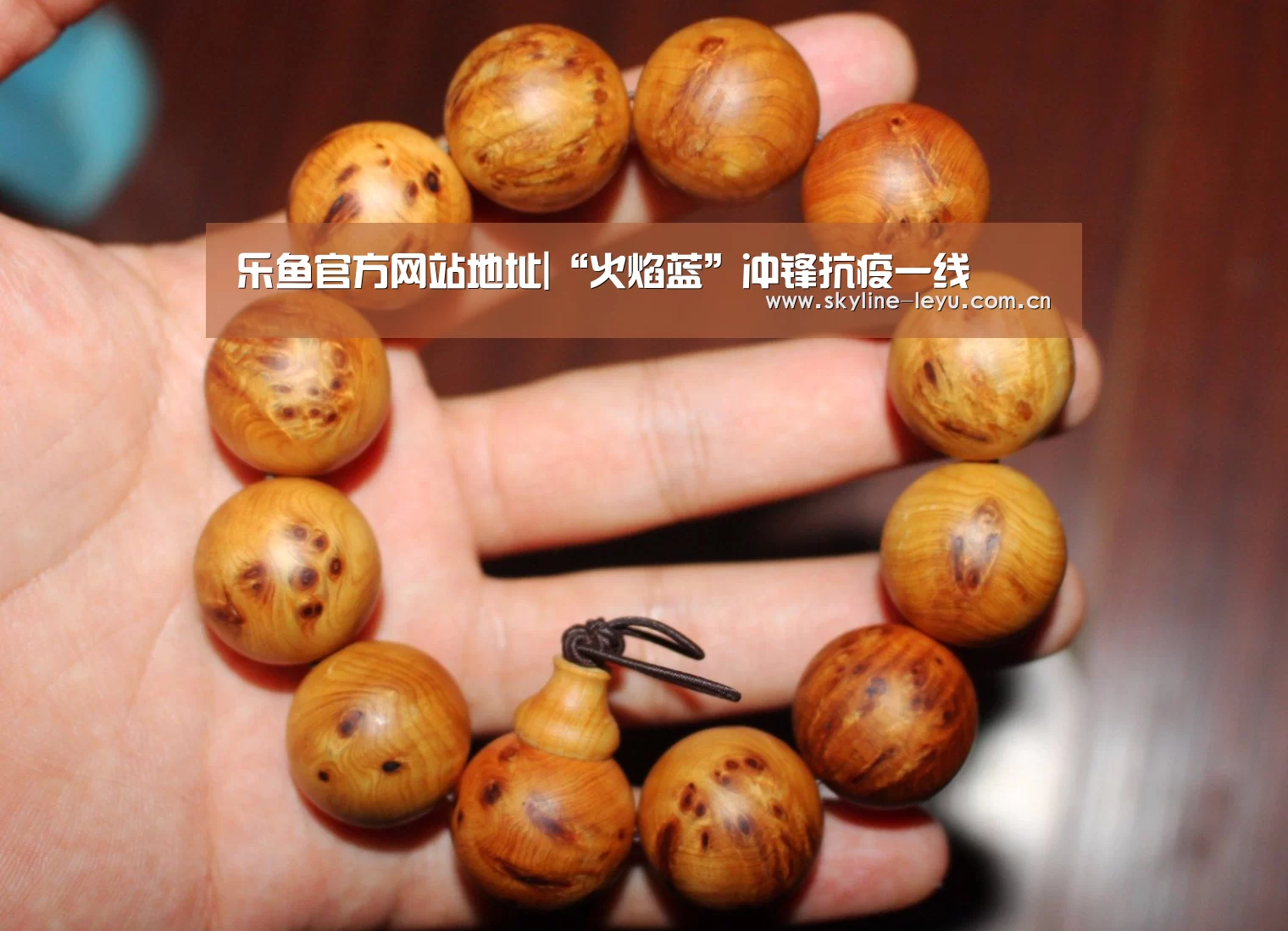 乐鱼官方网站地址