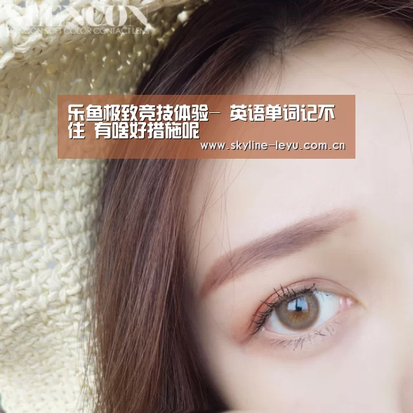 乐鱼极致竞技体验-
英语单词记不住 有啥好措施呢(图3) 乐鱼平台最新版本