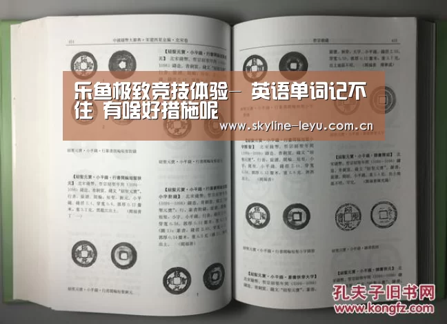 乐鱼极致竞技体验-
英语单词记不住 有啥好措施呢(图1) 乐鱼平台最新版本