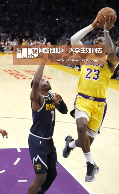 乐鱼平台最新版本
