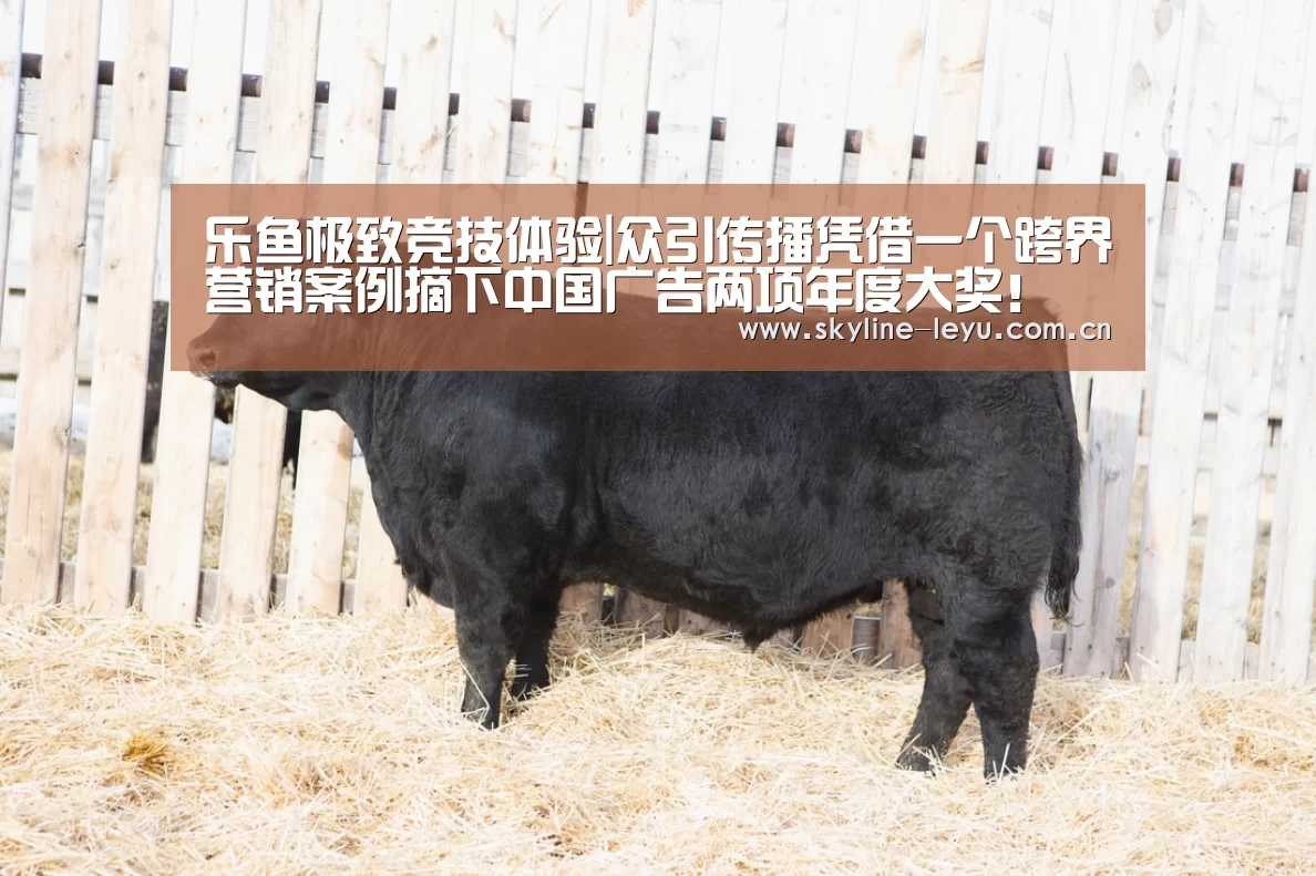 乐鱼官方网站地址